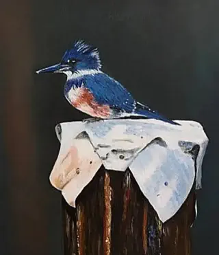 Ijsvogel