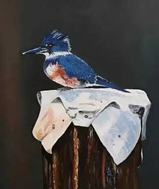 Ijsvogel